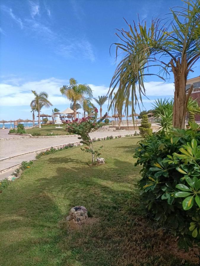 Tony'S Privy Beds By Red Sea Apartment ฮูร์กาดา ภายนอก รูปภาพ