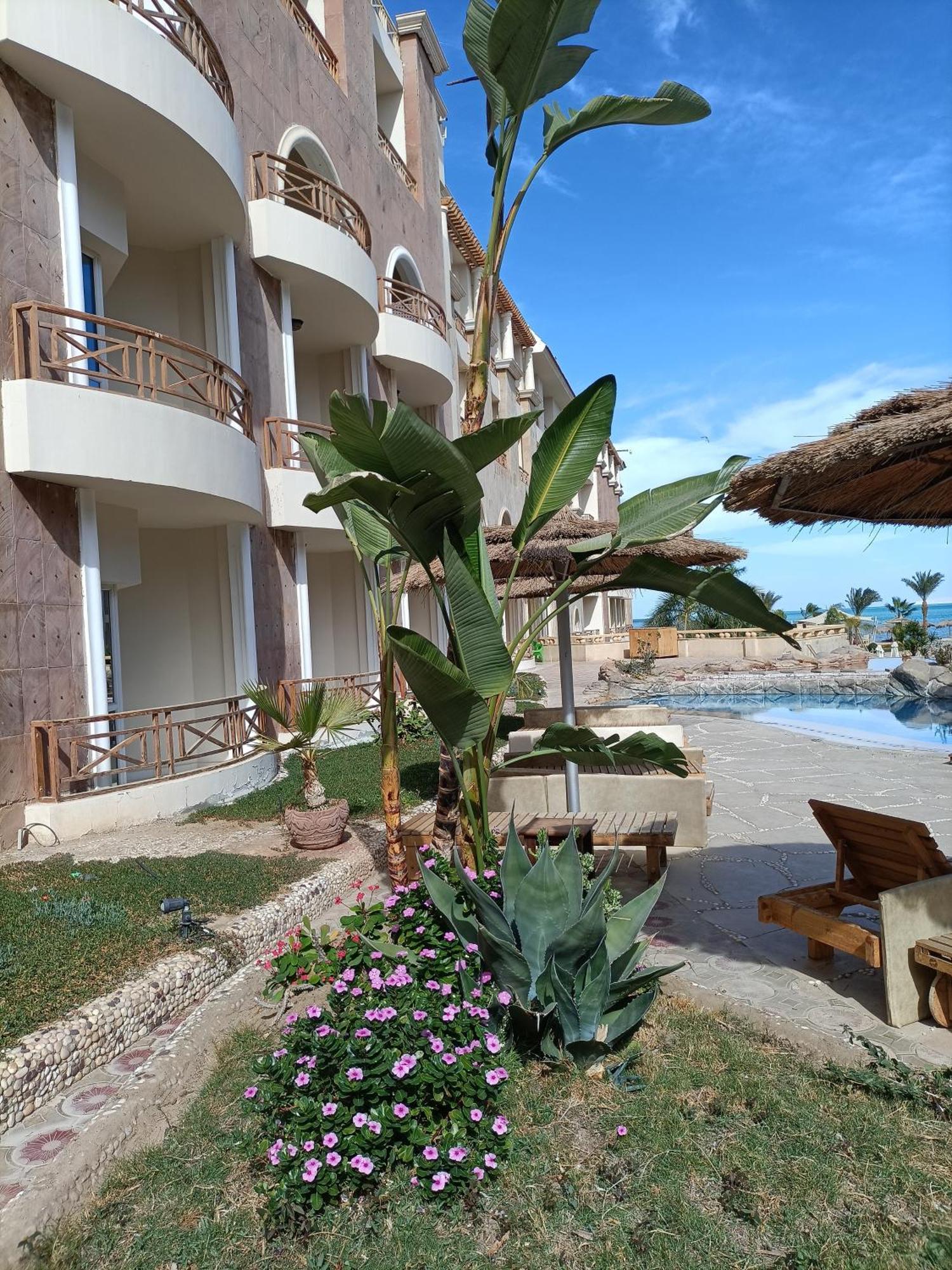 Tony'S Privy Beds By Red Sea Apartment ฮูร์กาดา ภายนอก รูปภาพ